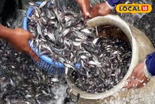 সুস্বাদু ন্যাদোস মাছ! হারিয়ে যাচ্ছে সময়ের সঙ্গে, ফিরিয়ে আনতে বড় উদ্যোগ