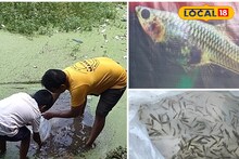 পুরুলিয়ার বাঁধে নামল ‘মশা দমন বাহিনী',স্বাক্ষী পড়ুয়ারা