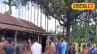 অজগর উদ্ধার