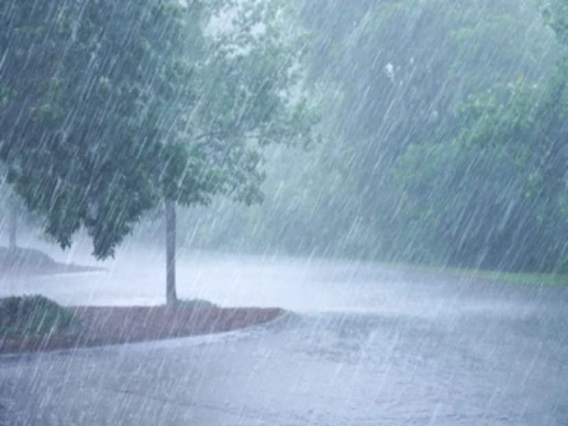 আবহাওয়া বিভাগের মতে, ১১, ১২, ১৩, ১৪, ১৫ এবং ১৬ অগাস্ট উত্তরপ্রদেশ, উত্তরাখণ্ড, বিহার, দিল্লি, হরিয়ানায় বিভিন্ন সময়ে ভারী বৃষ্টিপাত হবে।