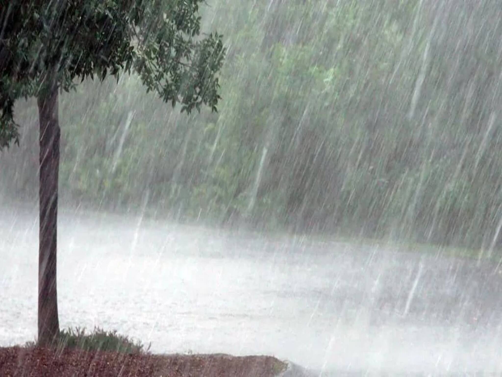 একটানা চলবে..! 'ওয়াইড স্প্রেইড রেইন' সতর্কতা! বৃষ্টি কাঁপাবে ১২ জেলা, কী হবে আগামী ৭ দিন?