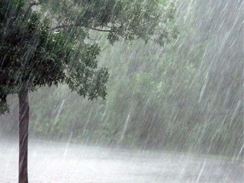 তবে রাজধানী দিল্লি ছাড়াও দেশের অনেক রাজ্যে ভারী বৃষ্টিপাত অব্যাহত। শুক্রবার দিনভর দিল্লি-এনসিআর-এ গুঁড়ি গুঁড়ি বৃষ্টিপাত হয়েছে, যার পরে তাপমাত্রাও কমেছে। দিল্লির সর্বোচ্চ তাপমাত্রা প্রায় ৩২ ডিগ্রি সেলসিয়াস এবং সর্বনিম্ন তাপমাত্রা প্রায় ২৩ ডিগ্রি সেলসিয়াস হতে পারে আজ, রবিবার।