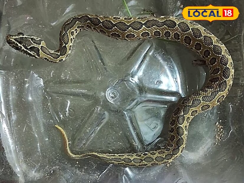 এরপর বাড়ির লোক তাকে আর জি কর হাসপাতালে নিয়ে যাওয়ার পথেই প্রাণ হারায় ওই বৃদ্ধা। হাসপাতালে নিয়ে গেলে ডাক্তার তাকে মৃত বলে ঘোষণা করে। 