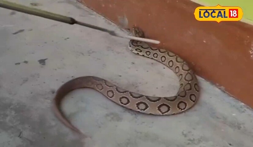 ঝাড়গ্রাম জেলায় সাপের উপদ্রব বাড়লেও সচেতন রয়েছে স্বাস্থ্য দফতর। তাই ভয় না পেয়ে সচেতন হওয়া প্রয়োজন। ঝাড়গ্রাম প্রতিটি ব্লক হাসপাতাল এবং স্বাস্থ্যকেন্দ্রে অ্যান্টি ভেনাম সিরাম (এভিএস) মজুত রাখা হয়েছে। কোথাও প্রয়োজন হলে তা দ্রুত পৌঁছে দেওয়ার ব্যবস্থা রয়েছে। সাপে কামড়ানোর ঘটনা ঘটলে দ্রুত যেকোনও স্বাস্থ্য কেন্দ্রে গিয়ে রিপোর্ট করান। (তথ্য- তন্ময় নন্দী) ‌