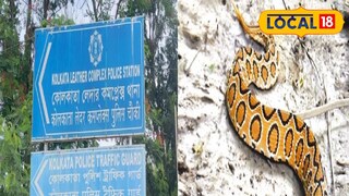 চন্দ্রবোড়া সাপ উদ্ধার চন্দ্রবোড়া সাপ উদ্ধার