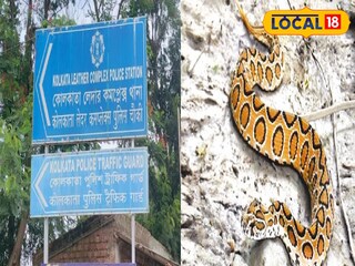 চন্দ্রবোড়া সাপ উদ্ধার