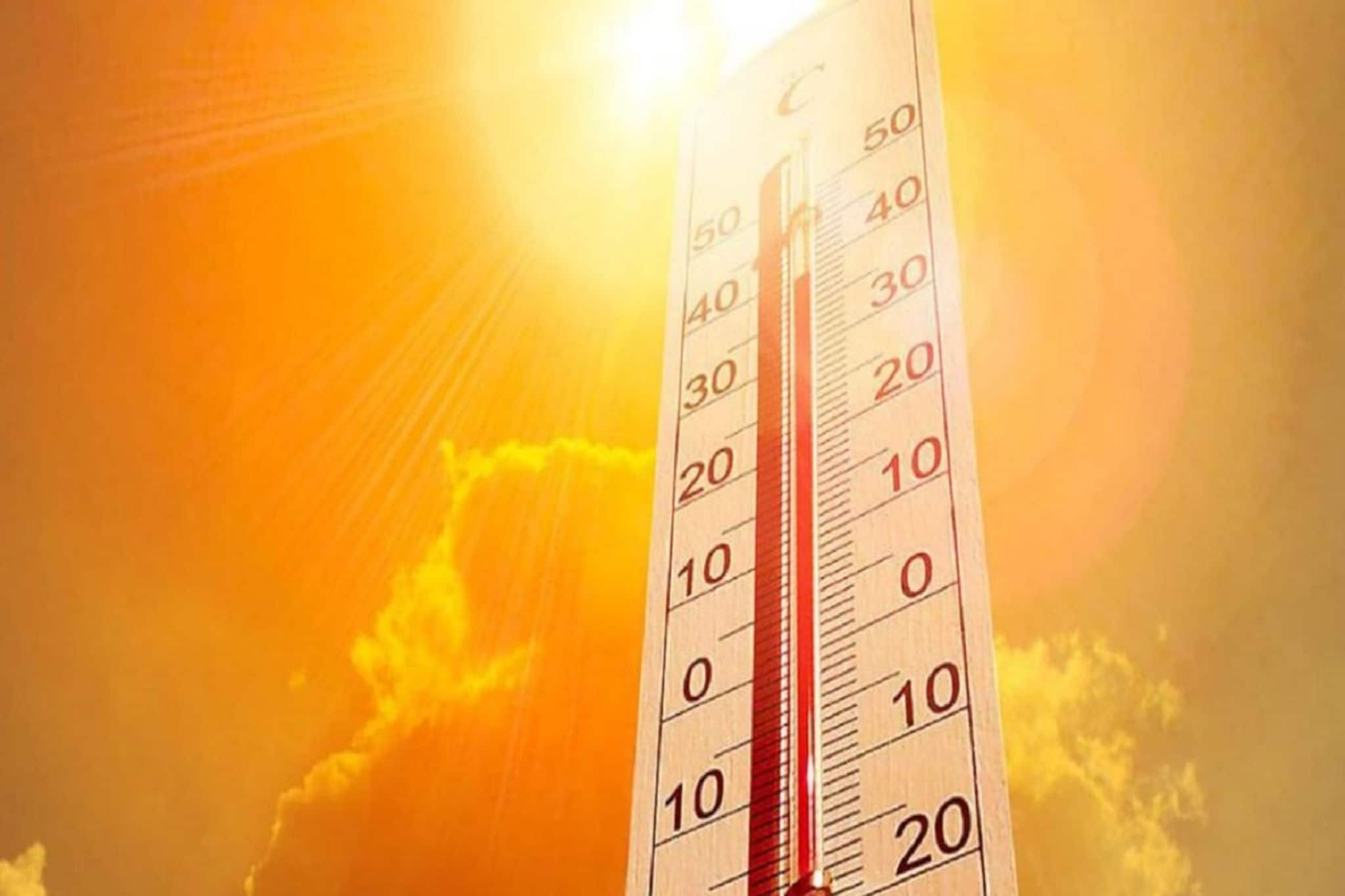 শীতের বিদায়পর্ব শুরু, গা-জ্বালানো গরম কবে থেকে? সপ্তাহভরের আবহাওয়া আপডেট জানুন