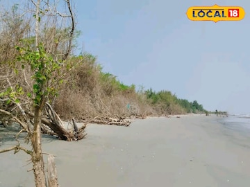 সুন্দরবনে নতুন প্রাণের ইঙ্গিত? ফ্লোরা ও ফনার খোঁজে হেনরি আইল্যান্ডে চলছে গবেষণা