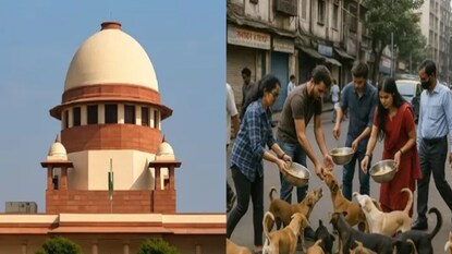 কোন রাজ্য মানল নির্দেশ? কোন রাজ্য মানল নির্দেশ?