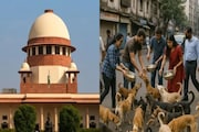 পথকুকুরদের নিয়ে সুপ্রিম কোর্টের বিরাট রায়, কোন রাজ্য প্রথম সেই নির্দেশ প্রয়োগ করল জানেন?