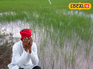 প্রতিকী ছবি।