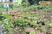 জমি মাফিয়াদের বাড়...! এবার দিনের আলোয় যা কাজকর্ম, ছুটে যেতে হল পুলিশ-বন দফতর সবাইকে