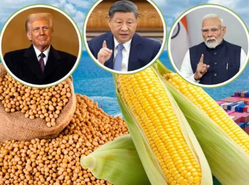 আমেরিকা চায় ভারত তার কৃষি বাজার আরও উন্মুক্ত করুক, অন্যদিকে নয়াদিল্লি যুক্তি দিচ্ছে যে এতে স্থানীয় কৃষক এবং দুগ্ধ শিল্পের ক্ষতি হবে। কৃষিমন্ত্রী শিবরাজ সিং চৌহান স্পষ্ট করে দিয়েছেন যে কৃষকদের স্বার্থের কথা মাথায় রেখে যেকোনো সিদ্ধান্ত নেওয়া হবে। এই কারণেই দুই দেশের মধ্যে একটি বিস্তৃত বাণিজ্য চুক্তির আলোচনা বারবার আটকে যাচ্ছে। আমেরিকার জন্য আরেকটি যন্ত্রণার বিষয় হল যে চিন তার কৃষি পণ্য প্রায় প্রত্যাখ্যান করেছে এবং অদূর ভবিষ্যতে এটি আবার আগের মতো আমদানি করার সম্ভাবনা কম।