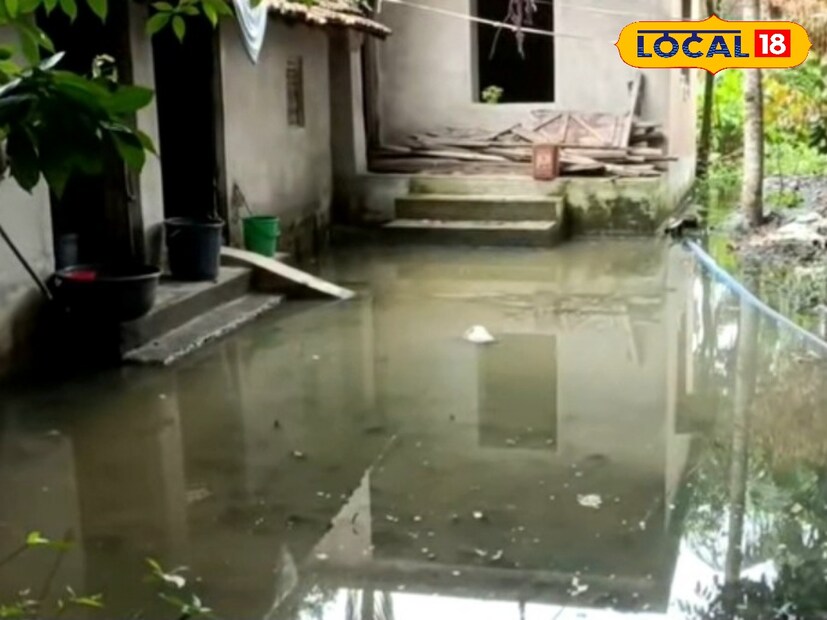 জল জমে থাকলে অনেক সময়ই খাবারের খোঁজে সাপেরা মানুষের বাড়িতে ঢুকে পড়ে। আপনার বাড়িতে সাপ ঢুকলে কী করবেন?