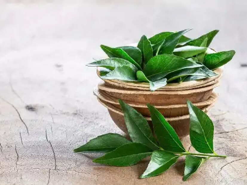 নারকেল ও কারি পাতাও প্রাকৃতিকভাবে চুল কালো করে। নারকেল তেলে ১০ মিনিট ধরে কারি পাতা ফুটিয়ে নিন। নিয়মিত এই তেল মাখলে পাকা চুল কালো হবে, চুলে ফিরবে হারানো জেল্লা।