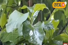 মিলছে না স্বস্তি! আবহাওয়ার আমূল পরিবর্তনে বিপর্যস্ত উত্তরবঙ্গ