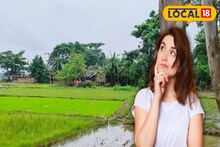 ৩ মাসের খাটনি, সারা বছরের রোজগার! বাড়িতে বাড়িতে মহিলারা করেন এই কাজ,ট্রাই করতে পারেন আপনিও