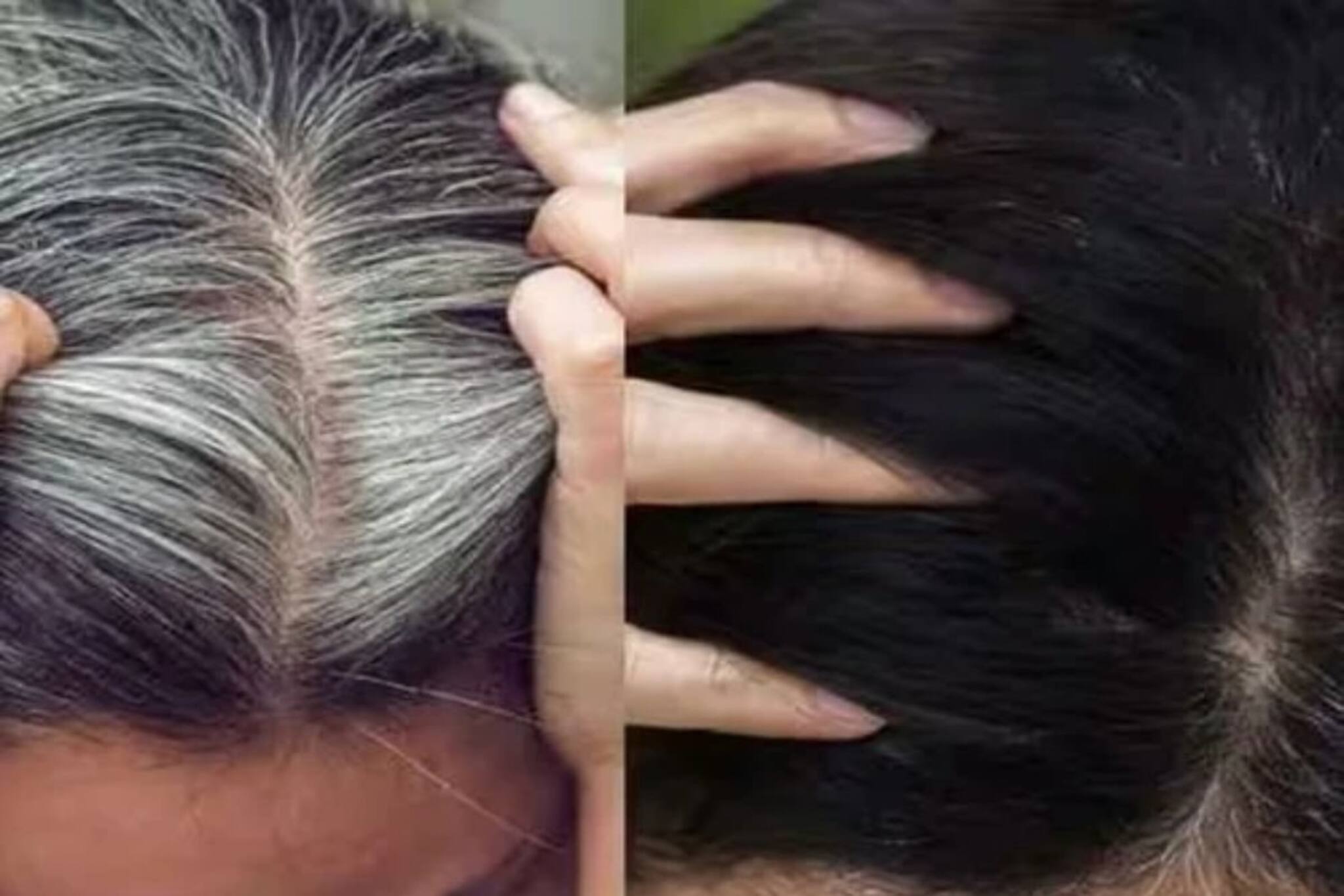 মাথা ভর্তি সাদা চুল? ডাই,হেয়ার কালার,কলপ ছুড়ে ফেলুন, এই পাতা ফোটানো জলেই চুল কুচকুচে কালো