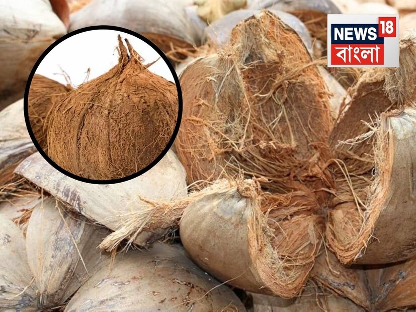 মনে রাখার বিষয়গুলো১. যদি প্রচণ্ড বৃষ্টি হয় এবং খোসা ভিজে যায়, তাহলে তখনই সেগুলো তুলে ফেলুন এবং শুকনো খোসাগুলো রাখুন।
২. ঘরের শিশু বা পশুপাখির কাছ থেকে দূরে রাখুন যাতে তারা খেলার সময় সেগুলো এদিক-ওদিক না পাঠিয়ে দেয়।
৩. এই ব্যবস্থাগুলো শুধুমাত্র বাড়ির সুরক্ষার জন্য, যদি আপনার মনে হয় যে ঘরে ইতিমধ্যেই একটি সাপ আছে, তাহলে অবিলম্বে একজন বিশেষজ্ঞ বা বন বিভাগের সাথে যোগাযোগ করুন।
