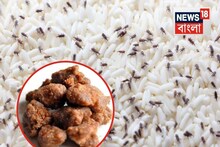 চালে একটা পোকাও টিকতে পারবে না..‘হিং’ ব্যবহার করতে হবে, ঠিক এই ভাবে, শুধু জানতে হবে পদ্ধতি