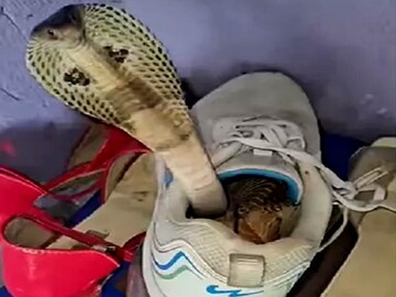 জুতোর মধ্যেই লুকিয়ে ছিল বিপদ