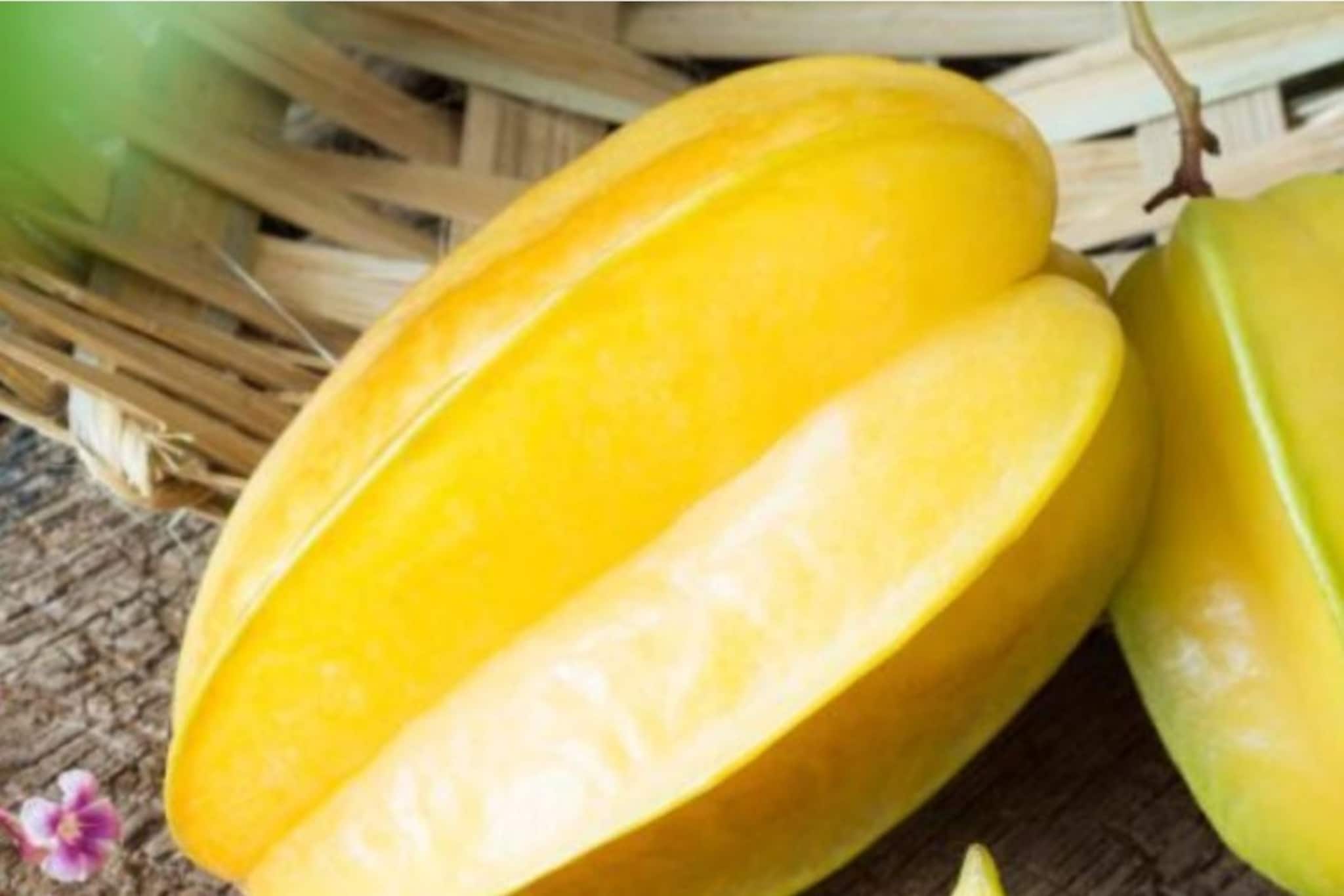 শীতের দুপুরে কামরাঙা খান, পালাবে কিডনির রোগ, ঝপঝপ কমবে ওজন শীতের দুপুরে কামরাঙা খান, পালাবে কিডনির রোগ, ঝপঝপ কমবে ওজন