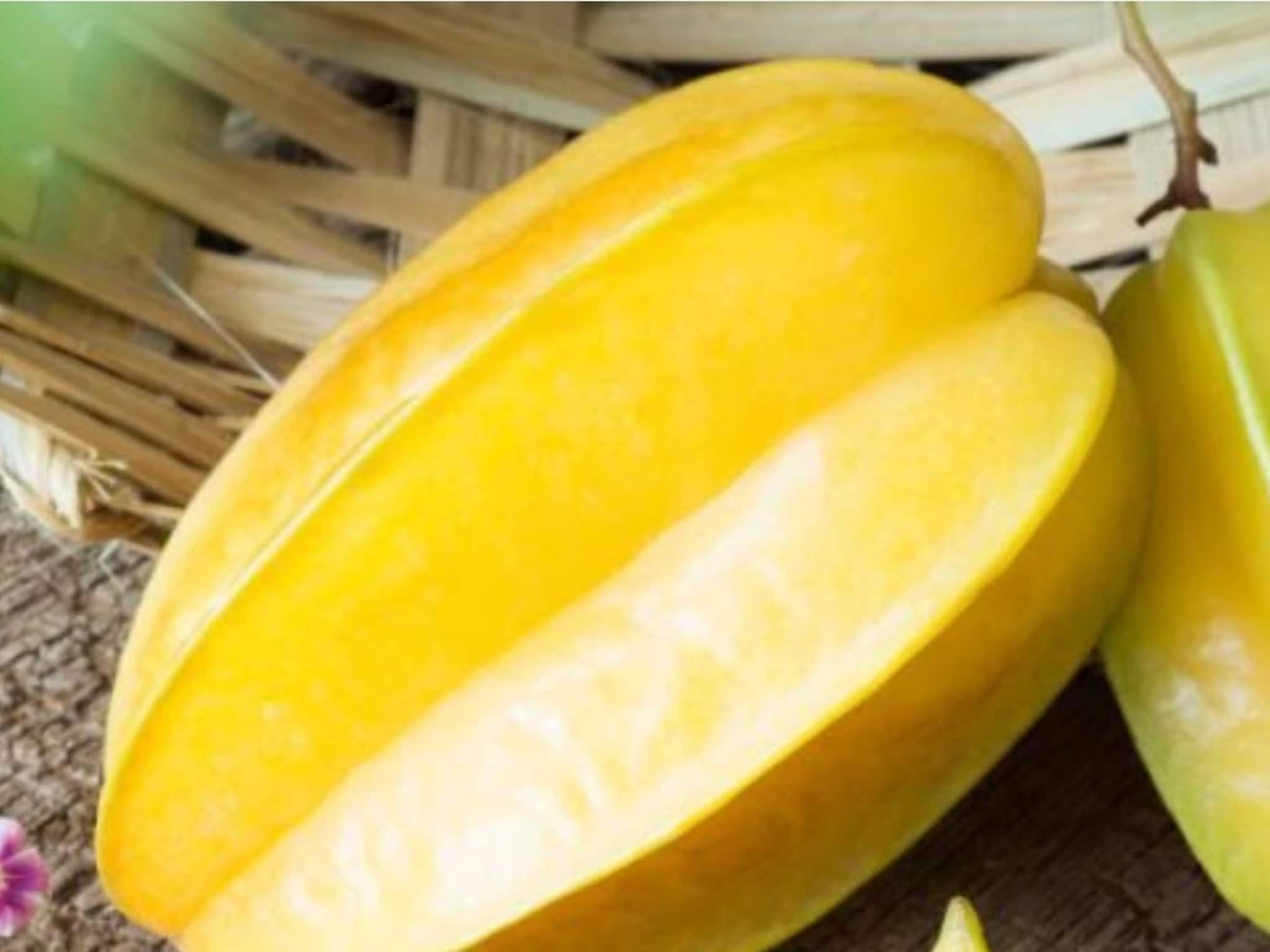 শীতের দুপুরে কামরাঙা খান, পালাবে কিডনির রোগ, ঝপঝপ কমবে ওজন শীতের দুপুরে কামরাঙা খান, পালাবে কিডনির রোগ, ঝপঝপ কমবে ওজন