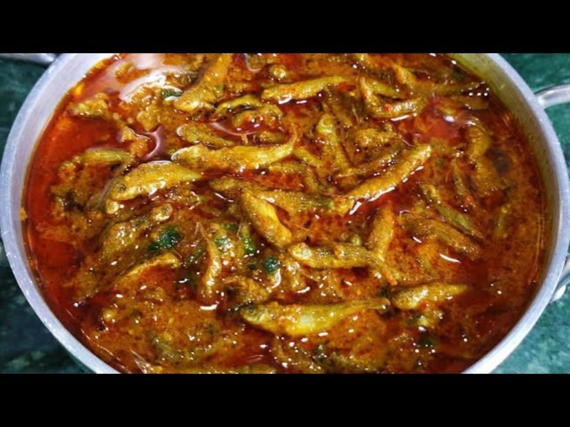 আকারে ছোট কিন্তু চকচকে, এই রূপালী মাছটির পিঠ নীল-সবুজ এবং মুখ ধারালো ত্রিভুজাকার। এর কেবল কাঁটাযুক্ত লেজ আছে, কিন্তু পাখনা নেই। এটি সাঁতার কাটে। এটি তার লেজ দিয়ে নিজেকে এগিয়ে নিয়ে যায়। এটি সর্বোচ্চ ২১ সেন্টিমিটার দৈর্ঘ্য পর্যন্ত বৃদ্ধি পায়।
