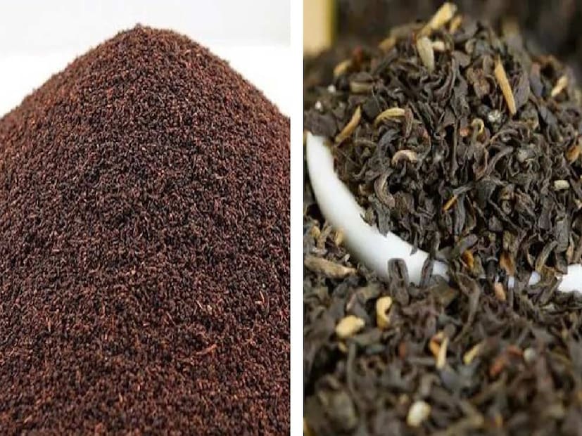 ডাই-হেয়ার কালার নয়, চা পাতা ব্যবহার করে সাদা চুল করুন কুচকুচে কালো। চা পাতা শুধু চুলের রং গাঢ় করে না, চুলে ও স্ক্যাল্পে পুষ্টি জোগায়।