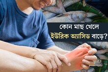 দেদার খাচ্ছেন ইলিশ, ভেটকি, চিংড়ি? কোন মাছ খেলে বাড়ে ইউরিক অ‍্যাসিড জানেন? খুব সাবধান