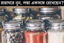 রান্নাঘরে নুন, লঙ্কা পাশাপাশি রেখেছেন? সর্বনাশ! বাস্তুমতে সংসারে কী প্রভাব পড়ছে জানেন?