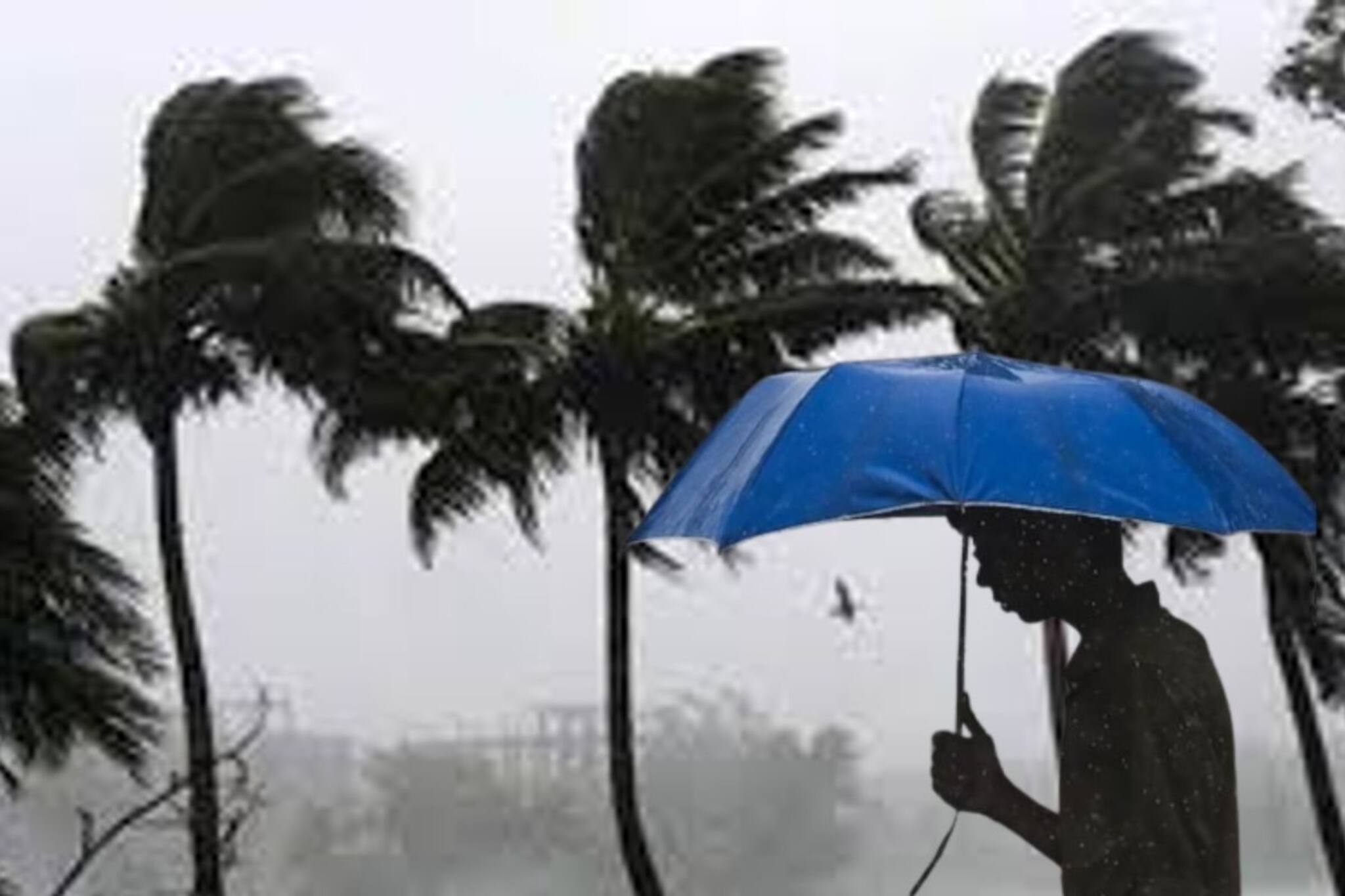 এখনই উঠবে ঝোড়ো বাতাস! ঘণ্টাখানেকের মধ‍্যেই ঝেঁপে বৃষ্টি আসছে ৫ জেলায়, জারি হলুদ সতর্কতা