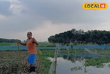 ধানের জমিতে মাছ চাষ! কীভাবে করছেন? বিকল্প চাষে নতুন দিশা দেখাচ্ছেন পূর্ব বর্ধমানের কৃষক