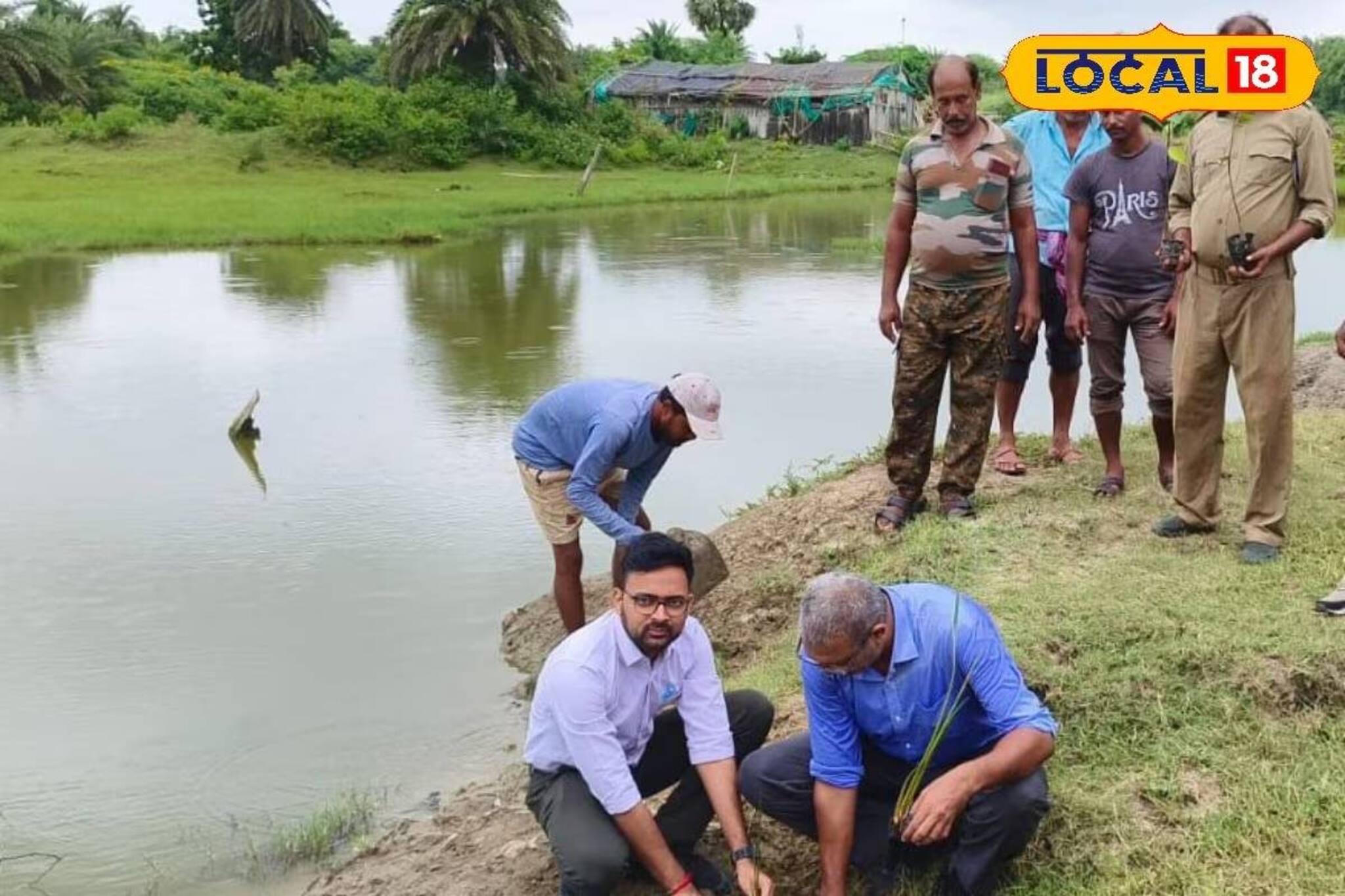 মুখ্যমন্ত্রীর নির্দেশমতো কাজ! দিঘার উপকূল রক্ষায় লাগানো হচ্ছে 'প্রাকৃতিক রক্ষাকবচ'