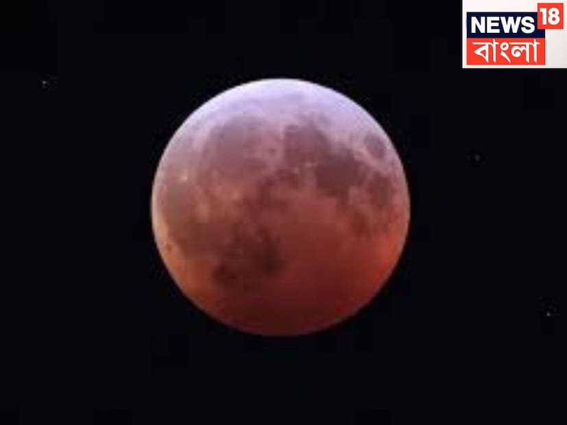 চন্দ্রগ্রহণের সূততকালে খাদ্য সামগ্রীর উপরে তুলসি পাতা দিয়ে রাখলে সংক্রমণ হবেনা, কেননা তুলসি পাতা অ্যান্টি সেপটিক, অ্যান্টি ব্যাকটেরিয়াল ৷ প্রতীকী ছবি ৷