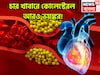 কোলেস্টেরলে চার খাবার ভয়ঙ্কর! না ছাড়লেই জীবন দুর্বিসহ,নিমেষেই বড় সমস্যা ছেঁকে ধরতে পারে