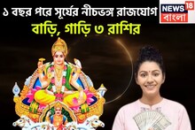 এক বছর পরে সূর্যের বিশাল শক্তি, নীচভঙ্গ রাজযোগে ৩ রাশির পুজোর বাজার গরম