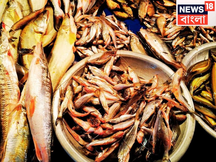 প্রোটিনে পরিপূর্ণ, ওমেগা থ্রিতে ভরপুর, ফ্যাটি অ্যাসিড, ভিটামিন একই সঙ্গে অত্যন্ত গুরুত্বপূর্ণ খনিজ রয়েছে ৷ রোগ প্রতিরোধ গড়ে তোলার ক্ষেত্রে বিরাট ভূমিকা গ্রহণ করবে ৷ প্রতীকী ছবি ৷