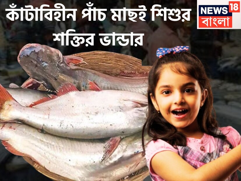 বাঙালি অর্থাৎ মাছে ভাতে থাকে সর্বদাই ৷ প্রতিদিনের খাদ্য তালিকায় মাছ না থাকলে চলেই না তবে যতই আহারে বাহারে বাঙালি হোক না কেন এতে পুষ্টি আছ ঠাসা ৷ প্রতীকী ছবি ৷