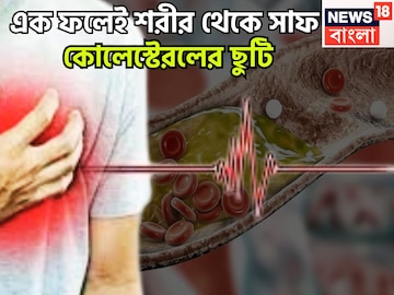 ১ ফলেই শরীর থেকে ধুয়ে মুছে সাফ!ফাইবার-অ্যান্টি অক্সিডেন্টে ঠাসা এক ধাক্কায় শরীর থেকে দূর ১ ফলেই শরীর থেকে ধুয়ে মুছে সাফ!ফাইবার-অ্যান্টি অক্সিডেন্টে ঠাসা এক ধাক্কায় শরীর থেকে দূর