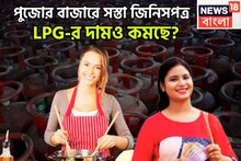 পুজোর মুখেই সস্তা দৈনন্দিন জীবনে ব্যবহৃত জিনিসের, এলপিজির দাম আরও কমছে?