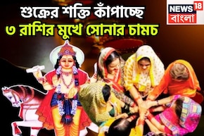 শুক্রের শক্তি কাঁপাচ্ছে, ৩ রাশির মুখে সোনার চামচ, বিরাট সম্পত্তিতে ভরপুর জীবন