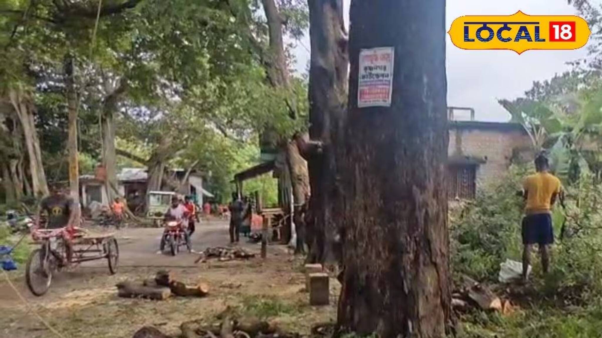 নির্বিচারে কাটা হচ্ছিল শতাব্দী প্রাচীন গাছ! প্রশাসনকে খবর দিতেই ঘুরে গেল 'খেলা'!