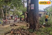 নির্বিচারে কাটা হচ্ছিল শতাব্দী প্রাচীন গাছ! প্রশাসনকে খবর দিতেই ঘুরে গেল 'খেলা'!