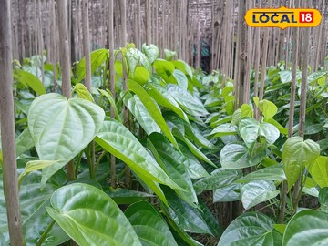 হাওড়ার