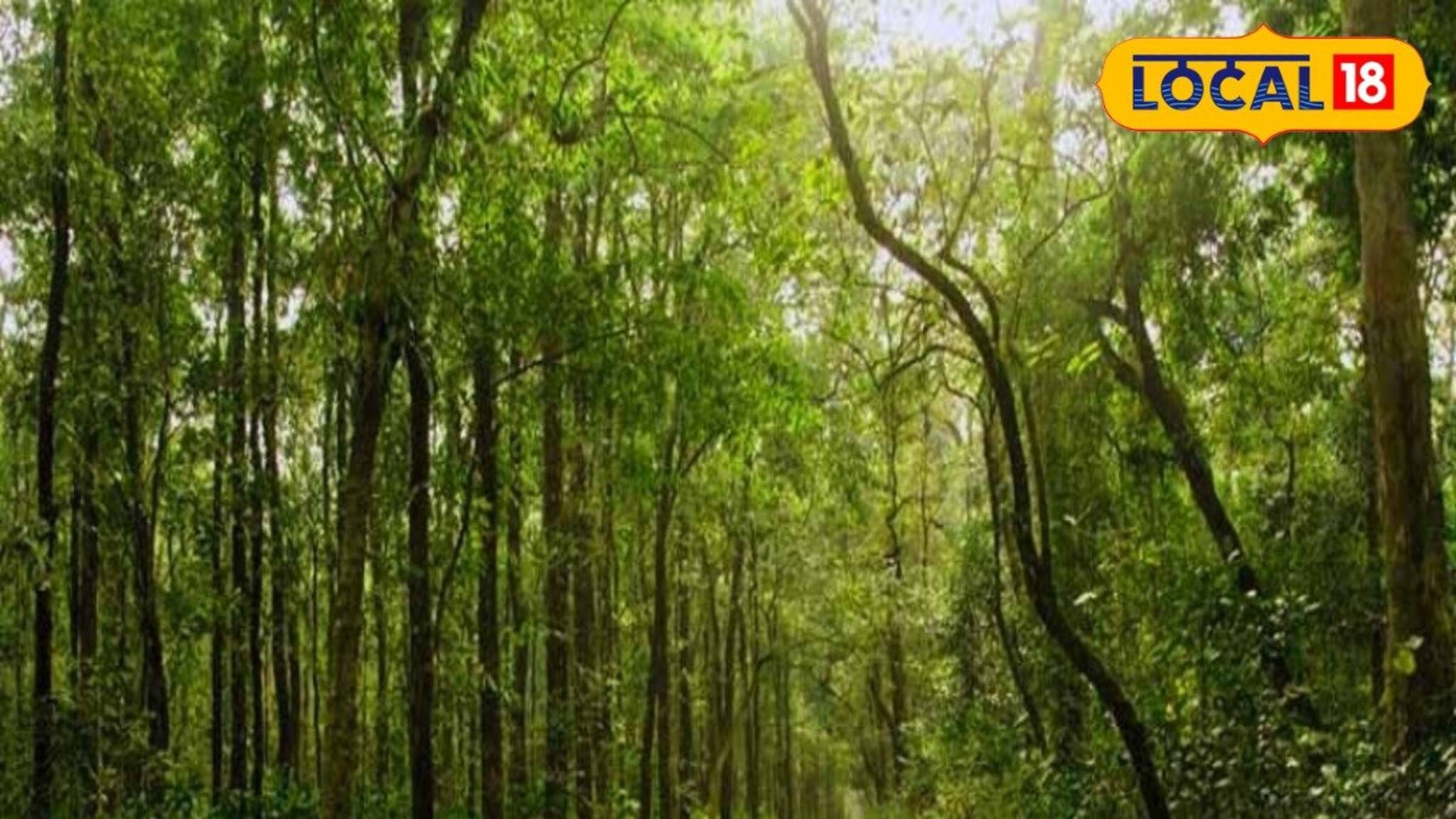 বক্সার জঙ্গলে শুট আউটের ঘটনায় ভাড়াটে খুনির যোগ! পুলিশের হাতে চাঞ্চল্যকর তথ্য