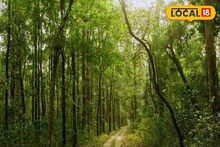 বক্সার জঙ্গলে শুট আউটের ঘটনায় ভাড়াটে খুনির যোগ! পুলিশের হাতে চাঞ্চল্যকর তথ্য