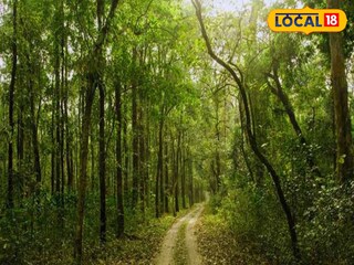বক্সা টাইগার রিজার্ভে শুট আউটের ঘটনায় সুপারি কিলারের উপস্থিতি পাচ্ছে পুলিশ