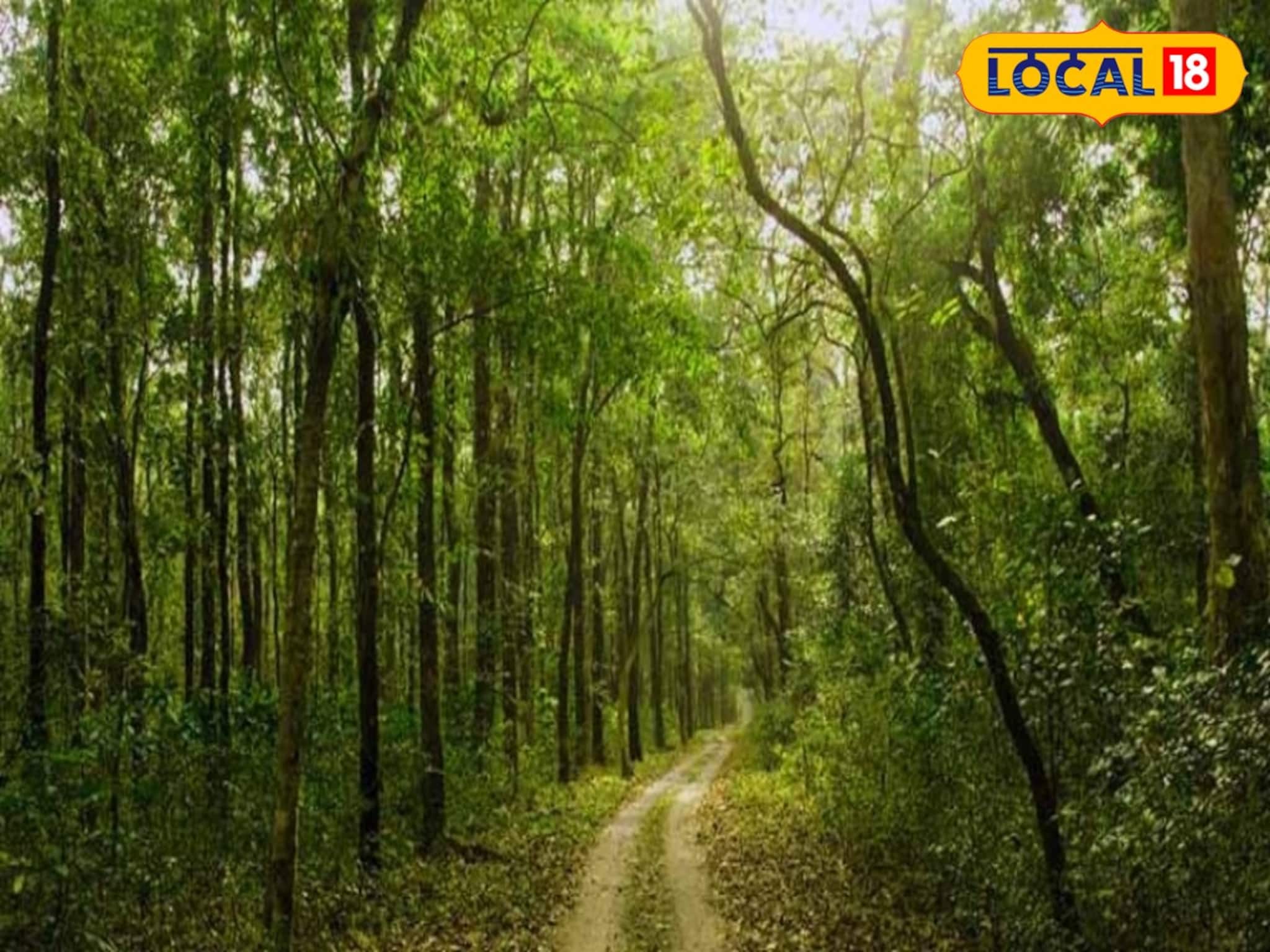বক্সার জঙ্গলে শুট আউটের ঘটনায় ভাড়াটে খুনির যোগ! যুবক খুনের তদন্তে নেমে পুলিশের হাতে চাঞ্চল্যকর তথ্য, আতঙ্কে এলাকাবাসী