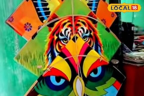 জেলার 'এই' বাজারে রকমারি ঘুড়ির সম্ভার, বিশ্বকর্মা পুজোর আগে উপচে পড়ছে ভিড়, রইল ঠিকানা